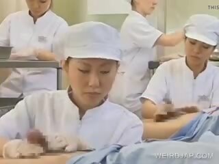 Japans verpleegster werkend harig penis, gratis x nominale klem b9