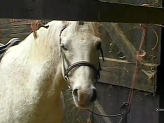 Dreckig wild x nenn film im ein barn für verdorben bauernhof mädchen