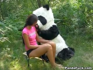 Vuxen klämma i den woods med en enormt leksak panda