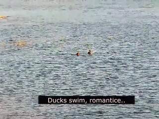 Romantiline suhuvõtmine edasi a rand kohta armastus koos ducks: räpane video 01 | xhamster