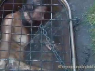 Caged stunner gedwongen naar geven pijpen